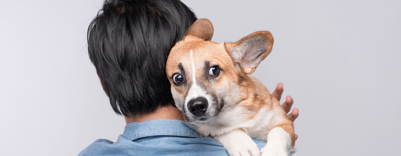 Mann mit ängstlichem Hund auf dem Arm