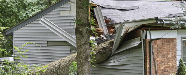 Baum ist auf Haus gefallen