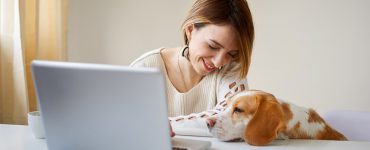 Frau macht Steuererklärung und Hund schaut zu