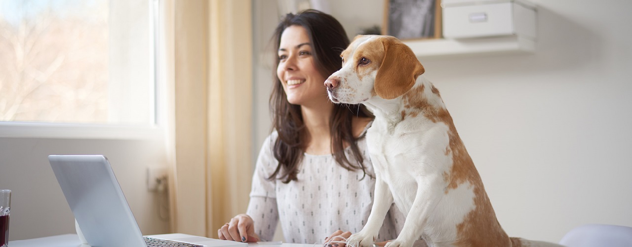 Frau und Hund sitzen am Schreibtisch vor dem Laptop