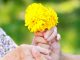 Demenz - Hände, die Blumen umschließen