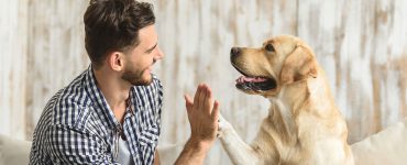 Mann und Hund geben sich High five, klatschen sich mit Hand und Pfote ab