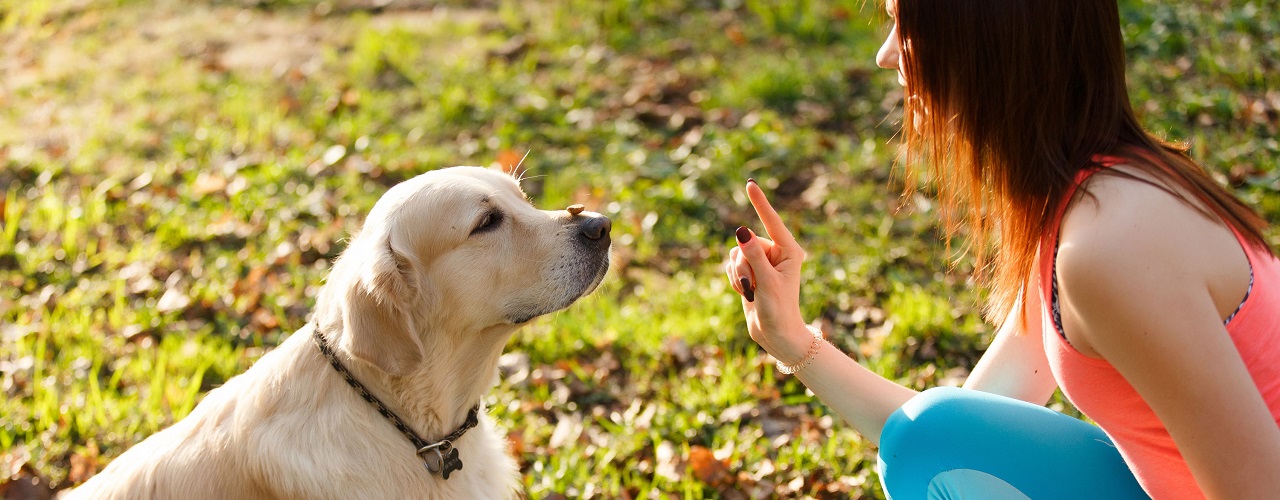 Hundeerziehung - Frau mit Hund im Park