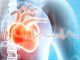 3D-Render eines menschlichen Körpers mit eingefärbtem Herzen