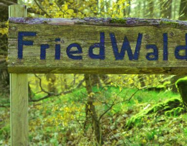 Ein Holzschild in einem blühenden, grünen Wald mit der Aufschrift "FriedWald"