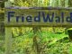 Ein Holzschild in einem blühenden, grünen Wald mit der Aufschrift "FriedWald"