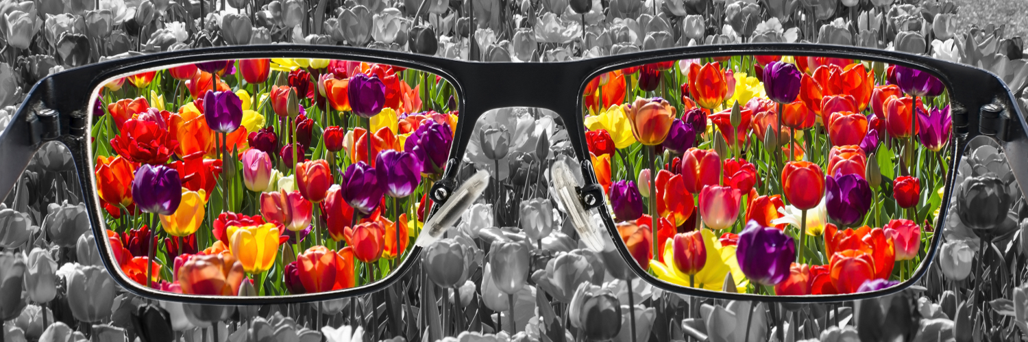 Ein schwarzer Brillenrahmen vor einer Tulpenwiese. Die Tulpenwiese ist schwarz-weiß, außer im Bereich der Brillengläser. Dort sind die Tulpen farbig.
