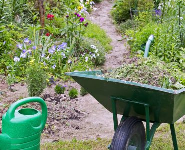 Schrebergarten: Kosten, Vorgaben, Gestaltung
