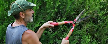 Mann hantiert mit einer Heckenschere im Garten