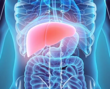 Hepatitis: Leberentzündung – Symptome, Behandlung und Risiken