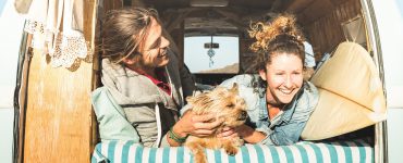Junge Leute im Auto mit Hund
